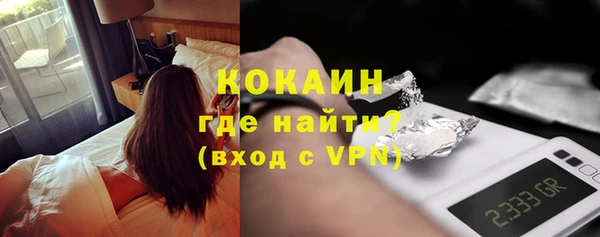 прущие грибы Вязники