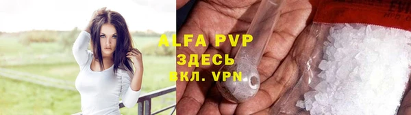 спиды Аркадак