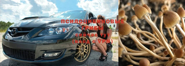 кокс Арсеньев
